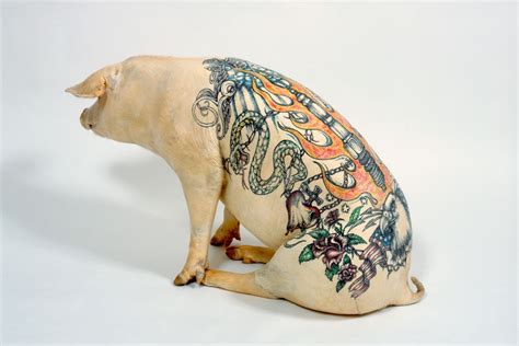 tatouage cochon artiste